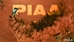PIAA RF10 10" White Long Range Driving Beam - 7610