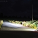 881 XTreme White Plus Single Halogen Bulb - 70821